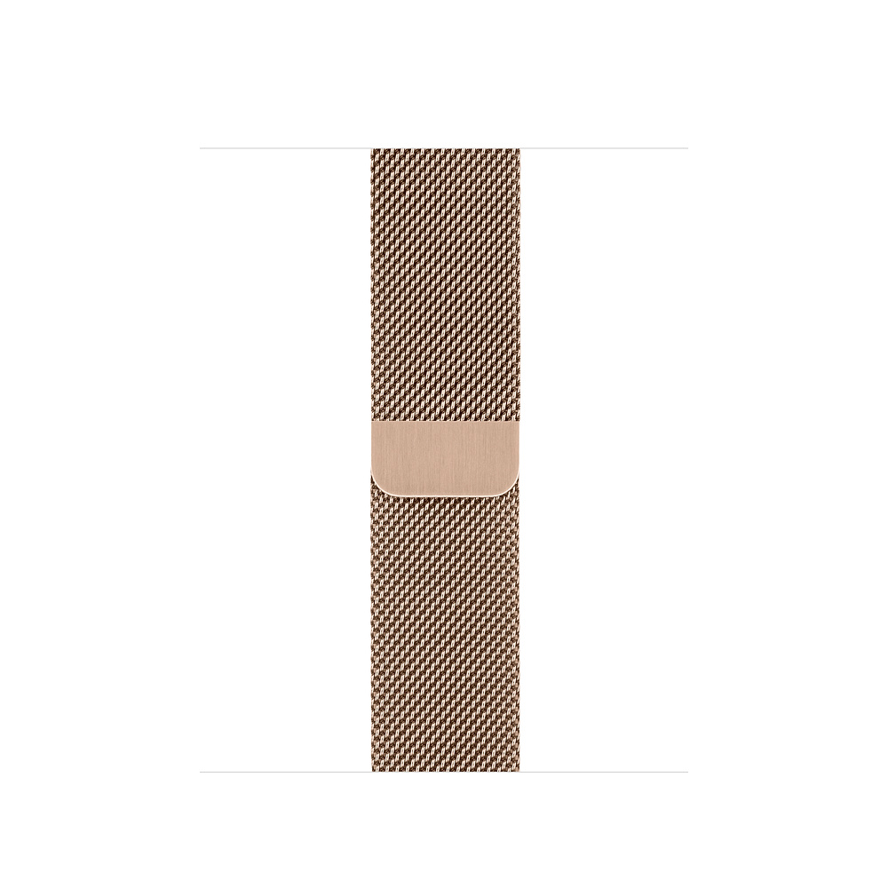 Watch Acc/40/Gold Milanese Loop