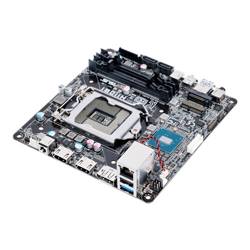 ASUS H110S1/CSM