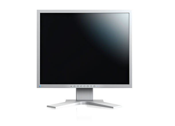 21' LED EIZO S2133-1600x1200,IPS,420c,DP,USB,piv,G