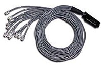 ZyXEL Telco-50 Cable