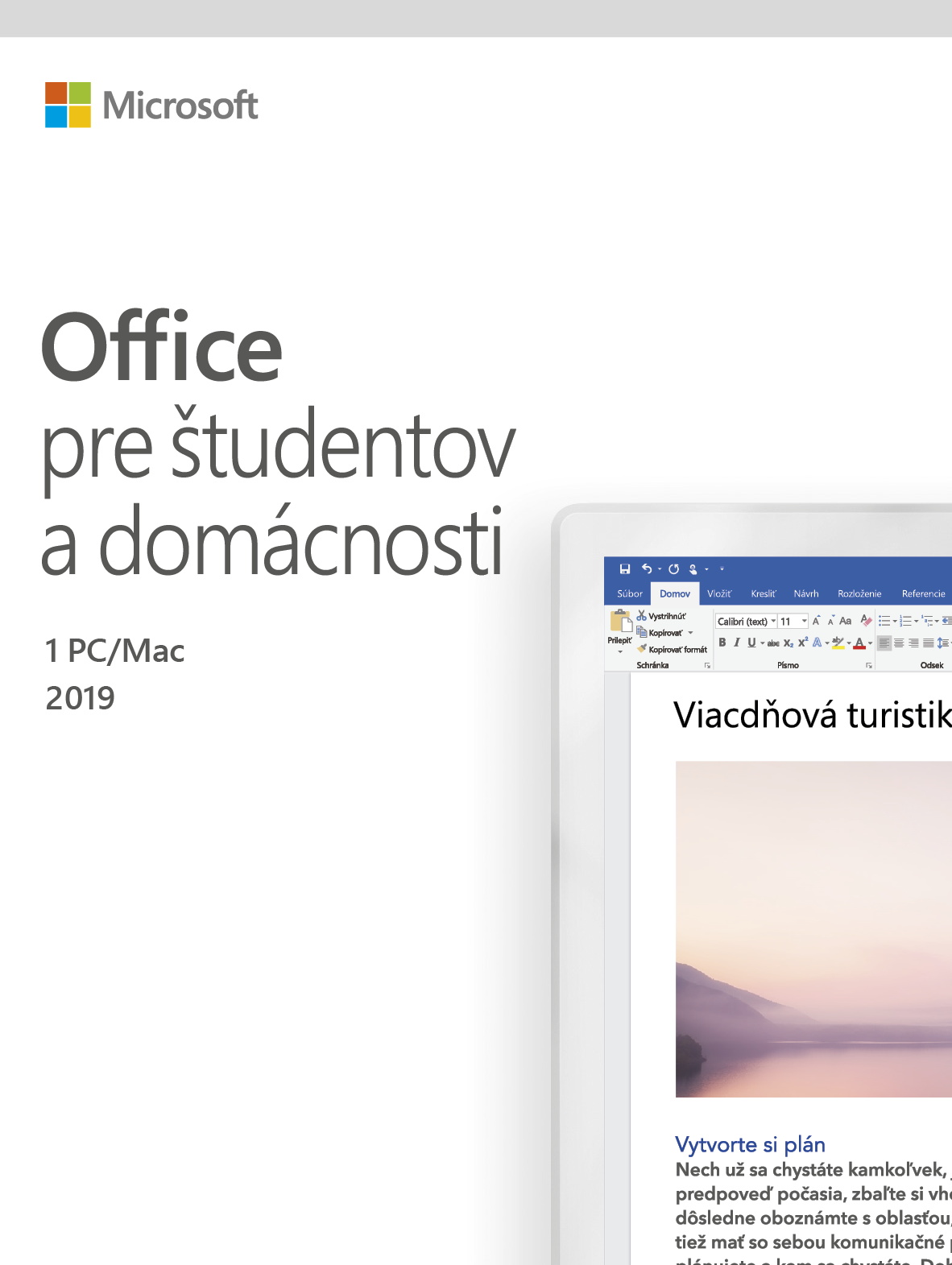 Office 2019 pro dom�cnosti SK
