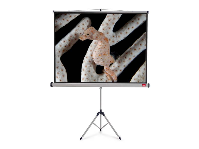 NOBO Tripod pl�tno �150 x v114 -matn� b�l�,4:3