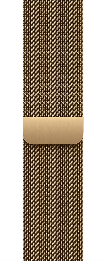 Watch Acc/40/Radiant Gold Milanese Loop