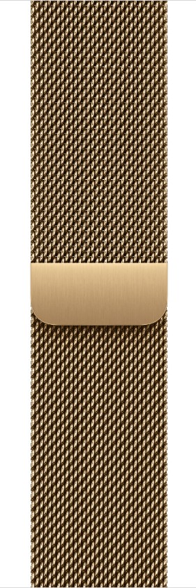 Watch Acc/42/Radiant Gold Milanese Loop