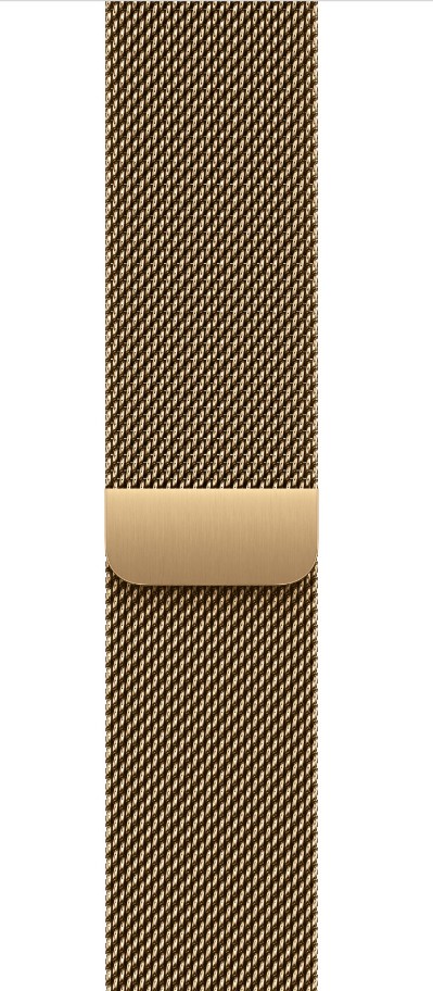 Watch Acc/46/Radiant Gold Milanese Loop - M/L