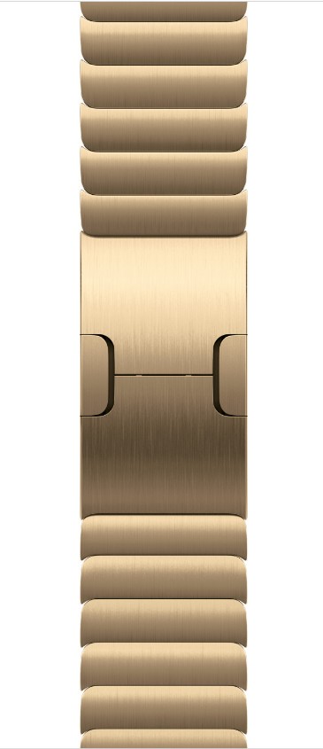 Watch Acc/42/Radiant Gold Link Bracelet