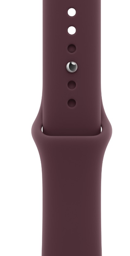 Watch Acc/42/Burgundy Sport Band - M/L