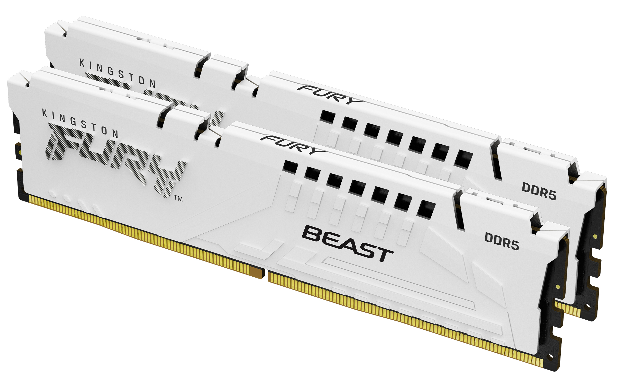 Kingston FURY Beast White/DDR5/32GB/6000MHz/CL30/2x16GB/White