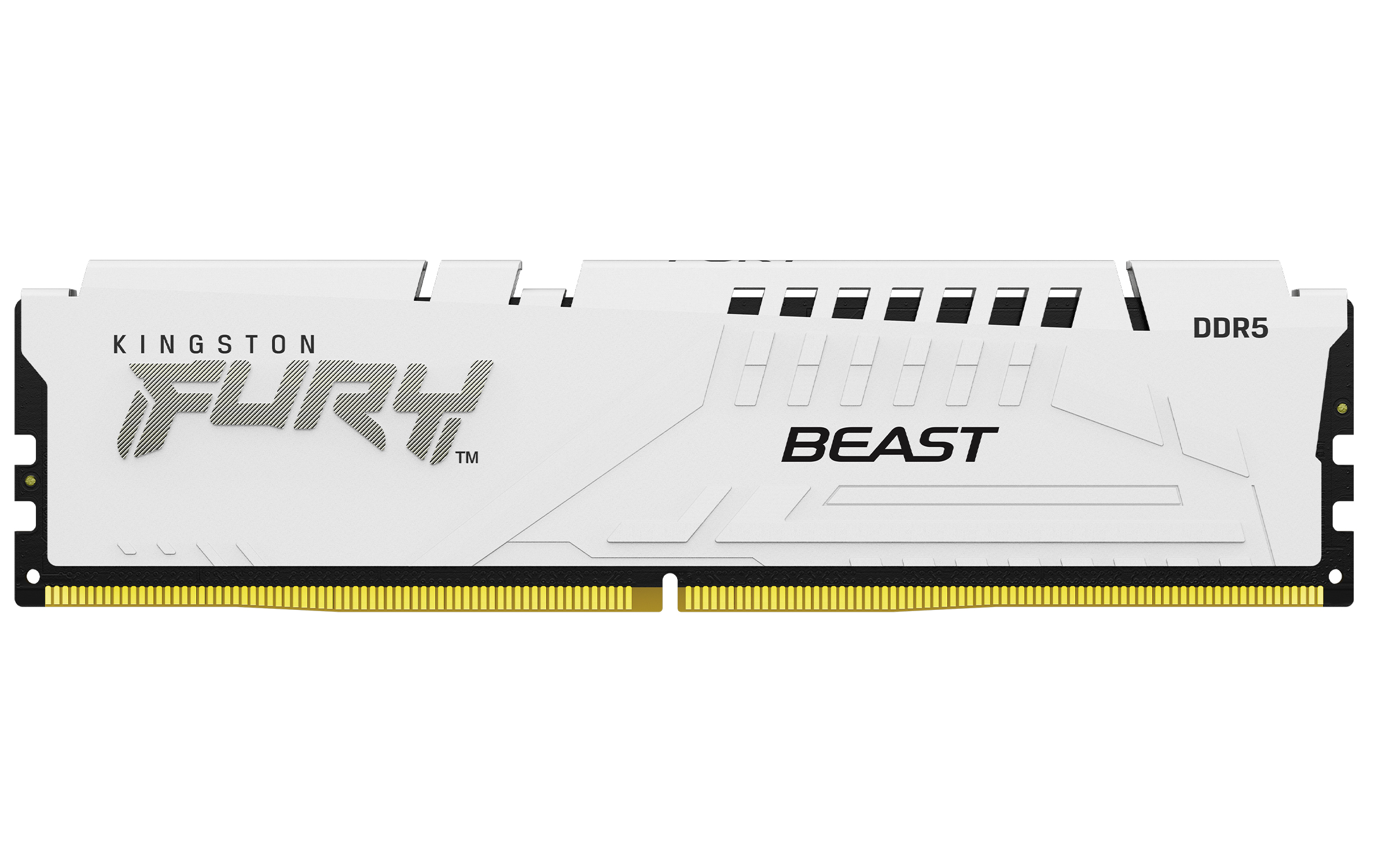 Kingston FURY Beast EXPO/DDR5/16GB/6000MHz/CL30/1x16GB/White