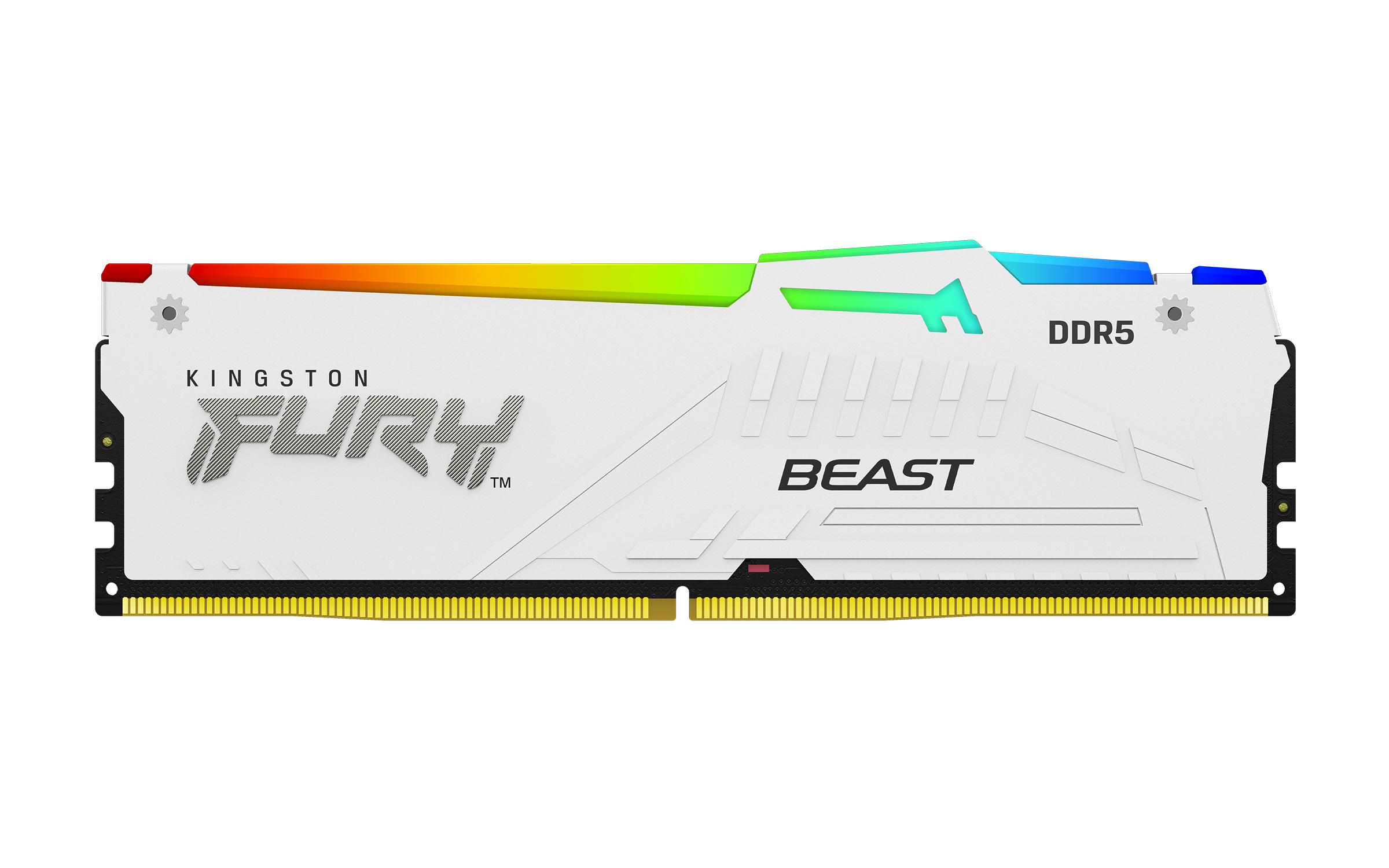 Kingston FURY Beast/DDR5/16GB/6400MHz/CL32/1x16GB/RGB/White