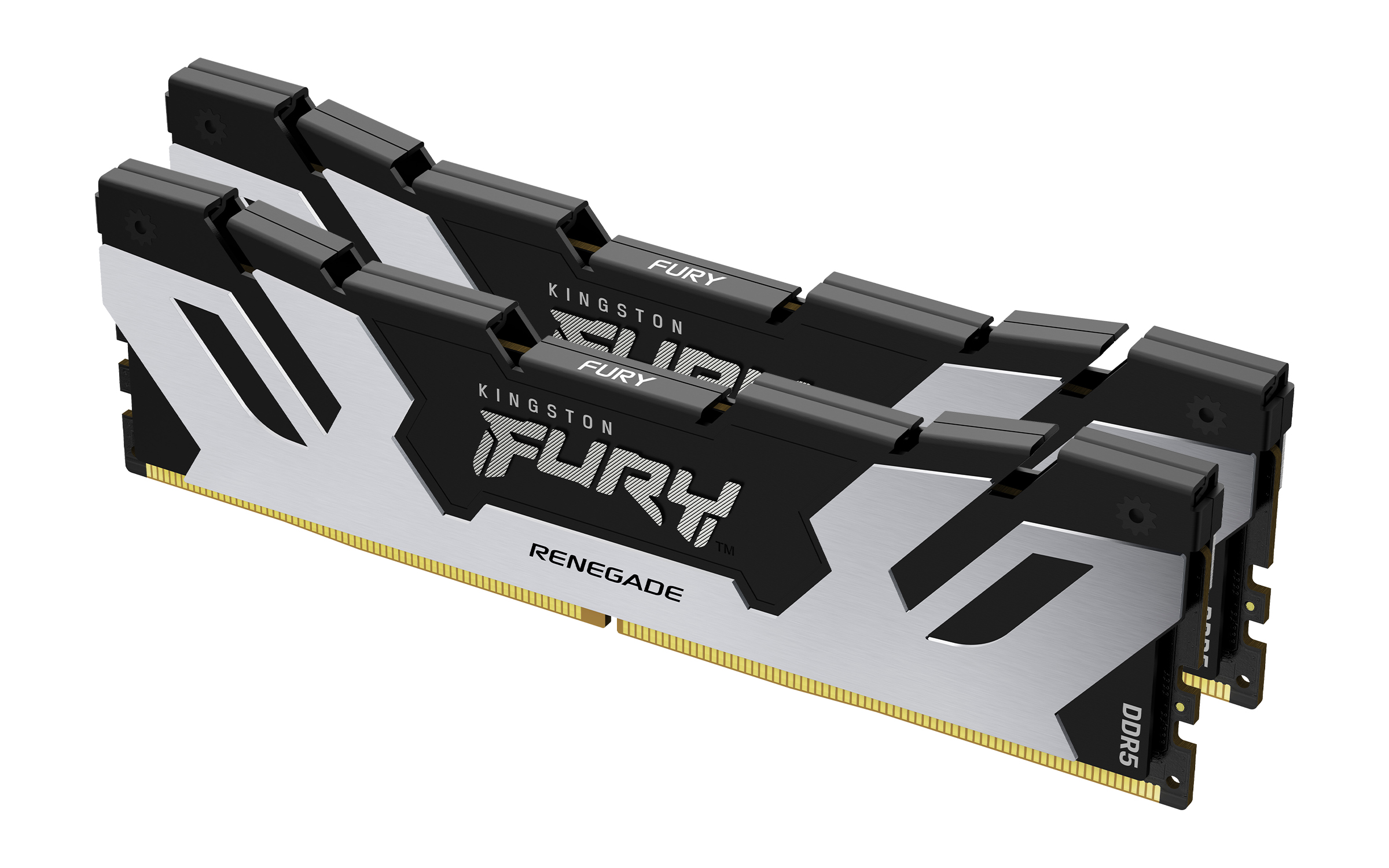 Kingston FURY Renegade/DDR5/32GB/7200MHz/CL38/2x16GB/Black/Silv