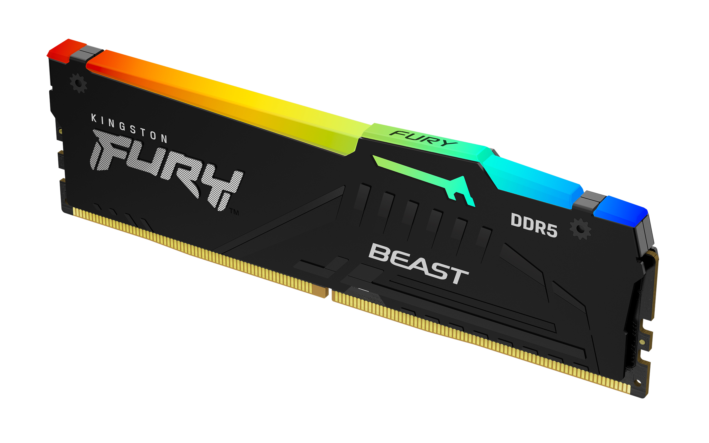 Kingston FURY Beast EXPO/DDR5/32GB/5600MHz/CL40/1x32GB/RGB/Black