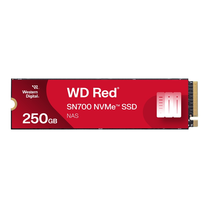 WD Red SN700/250GB/SSD/M.2 NVMe/5R