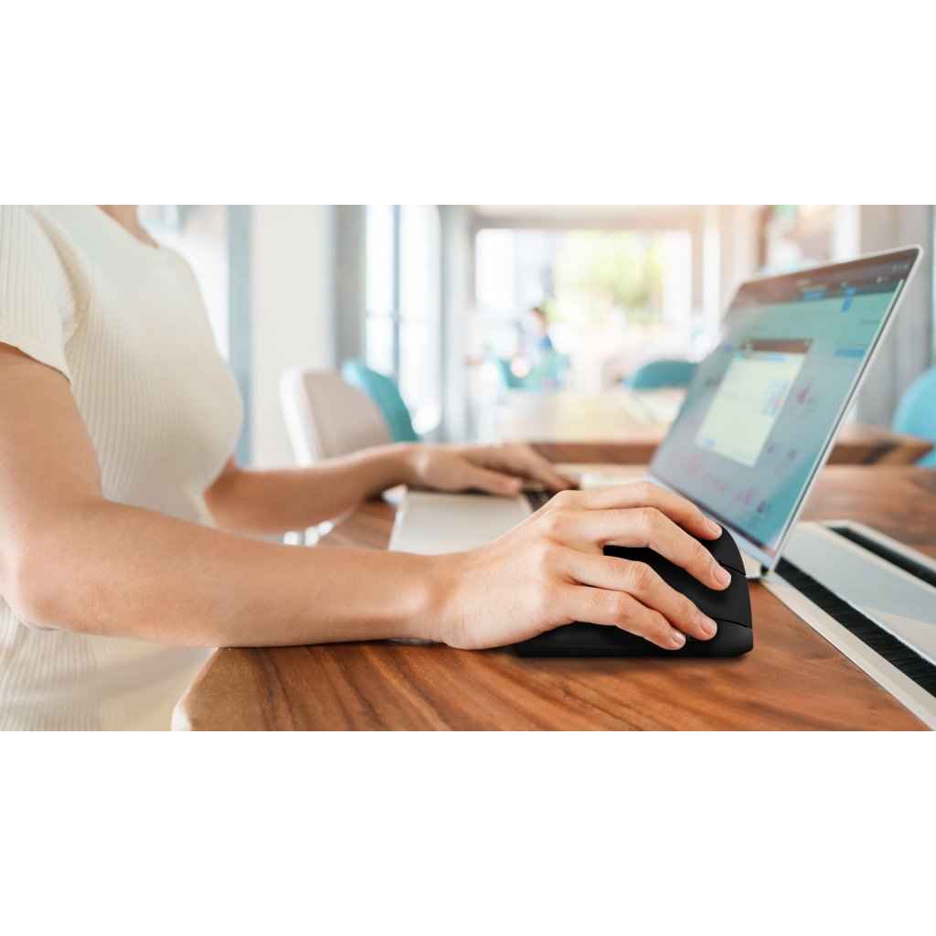 EVOLVEO TwinVerti, vertikálna ergonomická