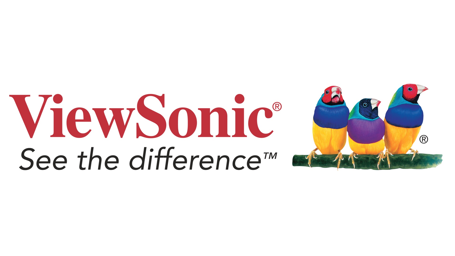 Viewsonic - WECO 5 year single device license