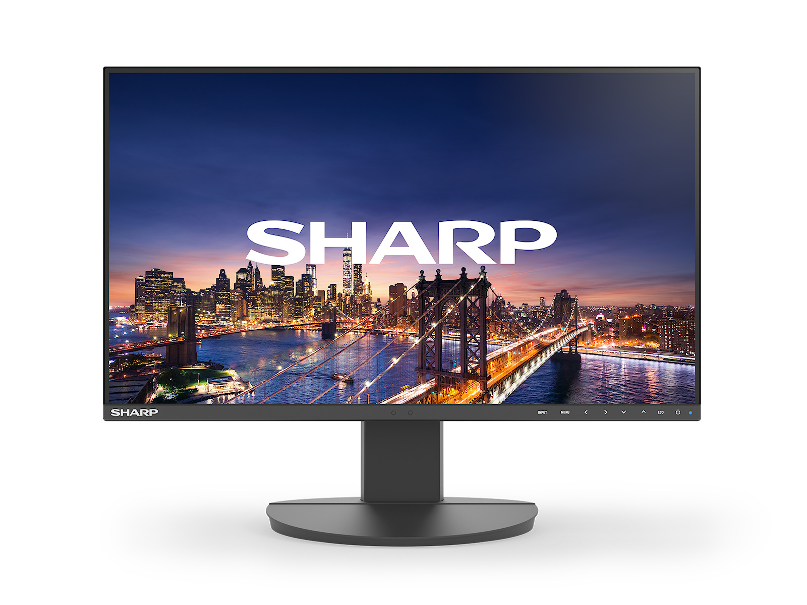 NEC Sharp MultiSync/EA241F/24''/IPS/FHD/60Hz/5ms/Černá/3R