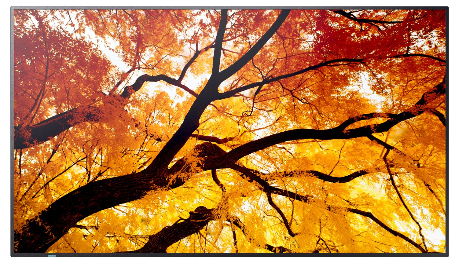 NEC Sharp MultiSync/M502/50''/VA/4K UHD/60Hz/8ms/Černá/3R