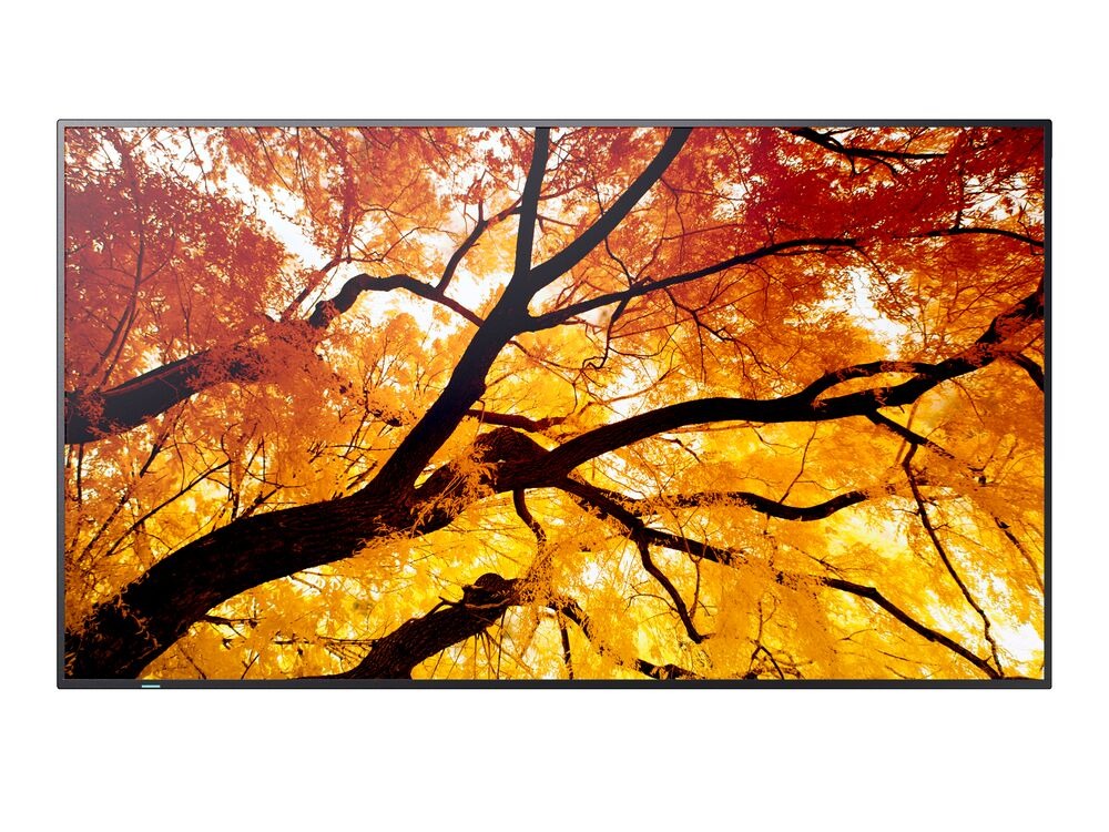 65'' LED SHARP M652,3840x2160,IPS,24/7,550cd