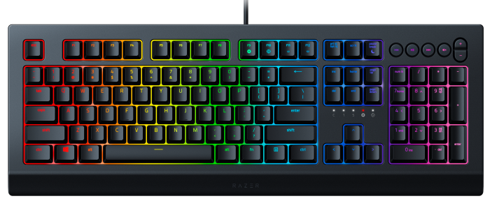 Obrázok Razer Cynosa V2 (RZ03-03400100-R3M1) čierna