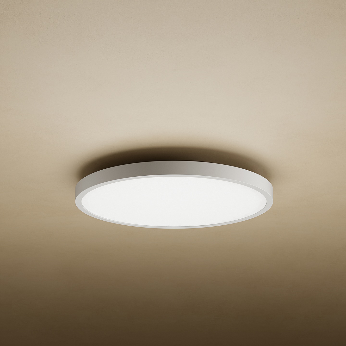 Xiaomi Mi Smart LED Ceiling Light D20