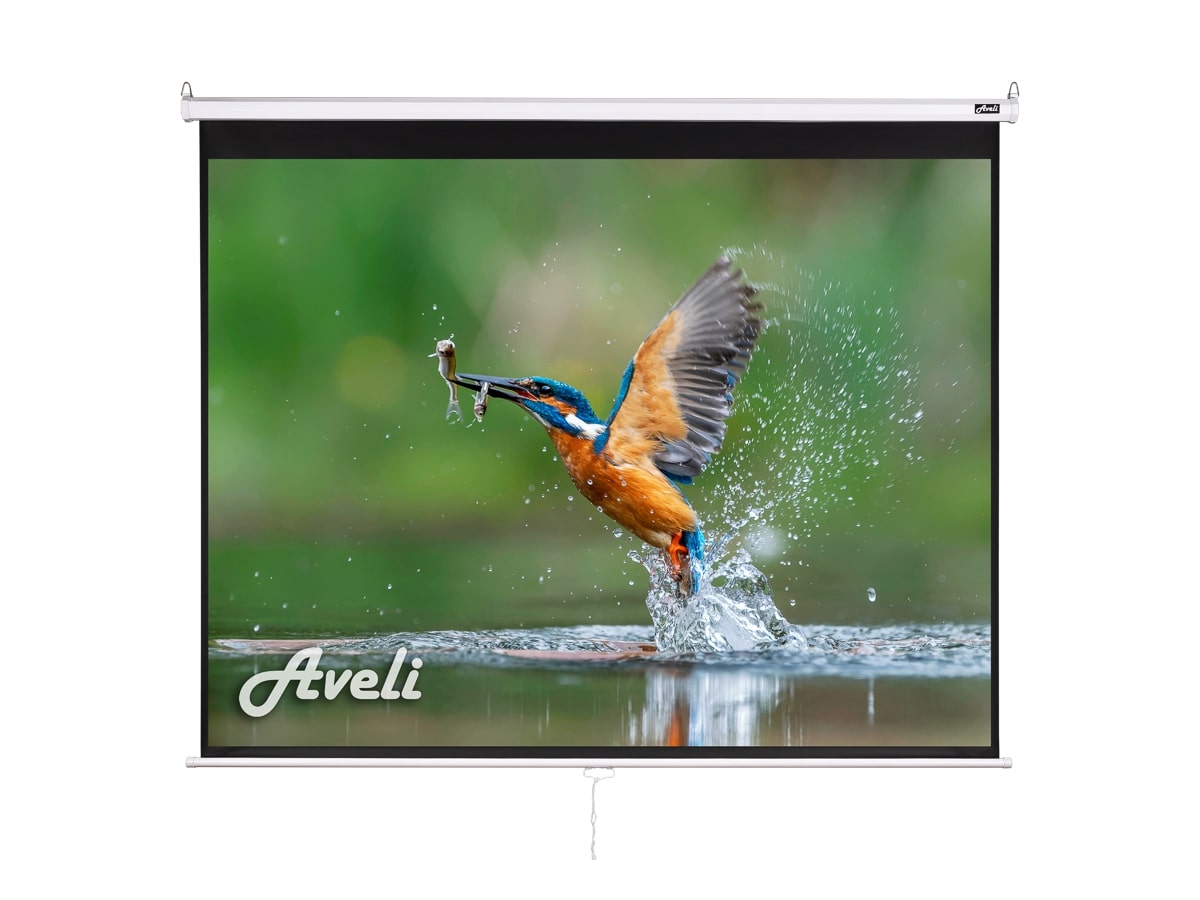 Nástěnné projekční plátno Aveli, 240x180cm (4:3)