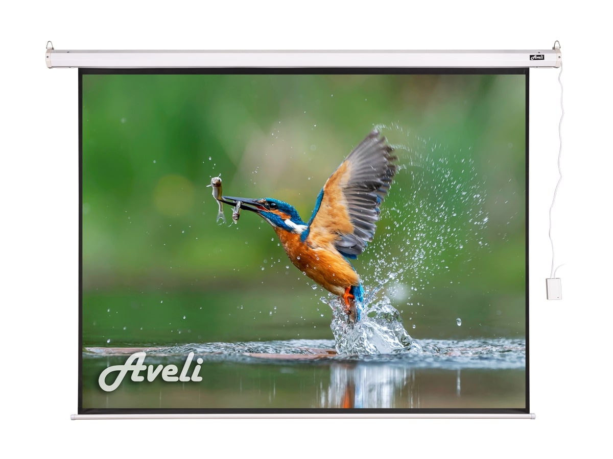 Elektrické projekční plátno AVELI, 813x610 (4:3)