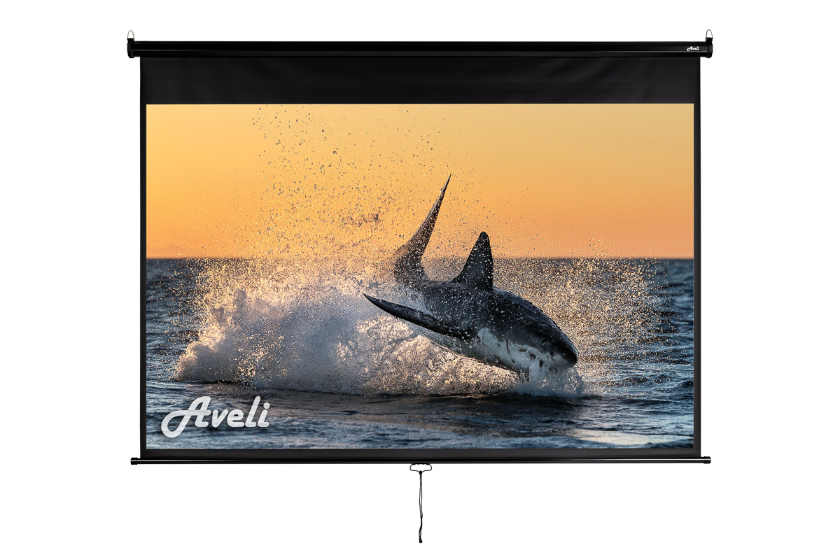 Nástěnné projekční plátno AVELI, 200x125cm (16:10) 92'', černý tubus