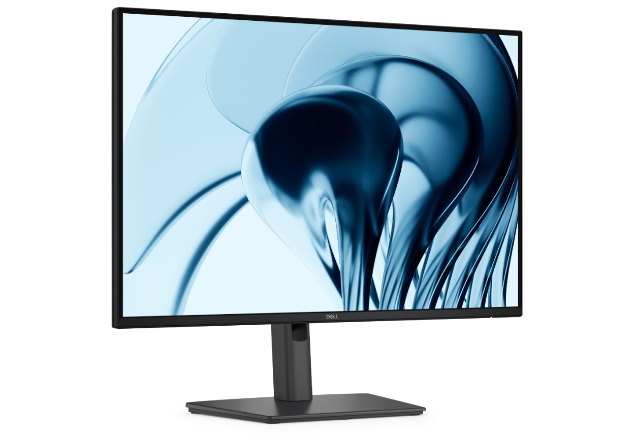Dell Pro P/P2426/24''/IPS/FHD/100Hz/5ms/Černá/3RNBD