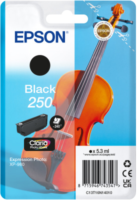 Epson Singlepack Black 250 ink