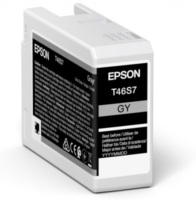 Epson Singlepack Gray T46S7 Ultrachrome