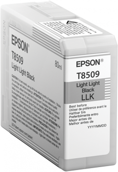 Epson Singlepack Photo Light Light Black T850900 UltraChrome HD ink 80ml