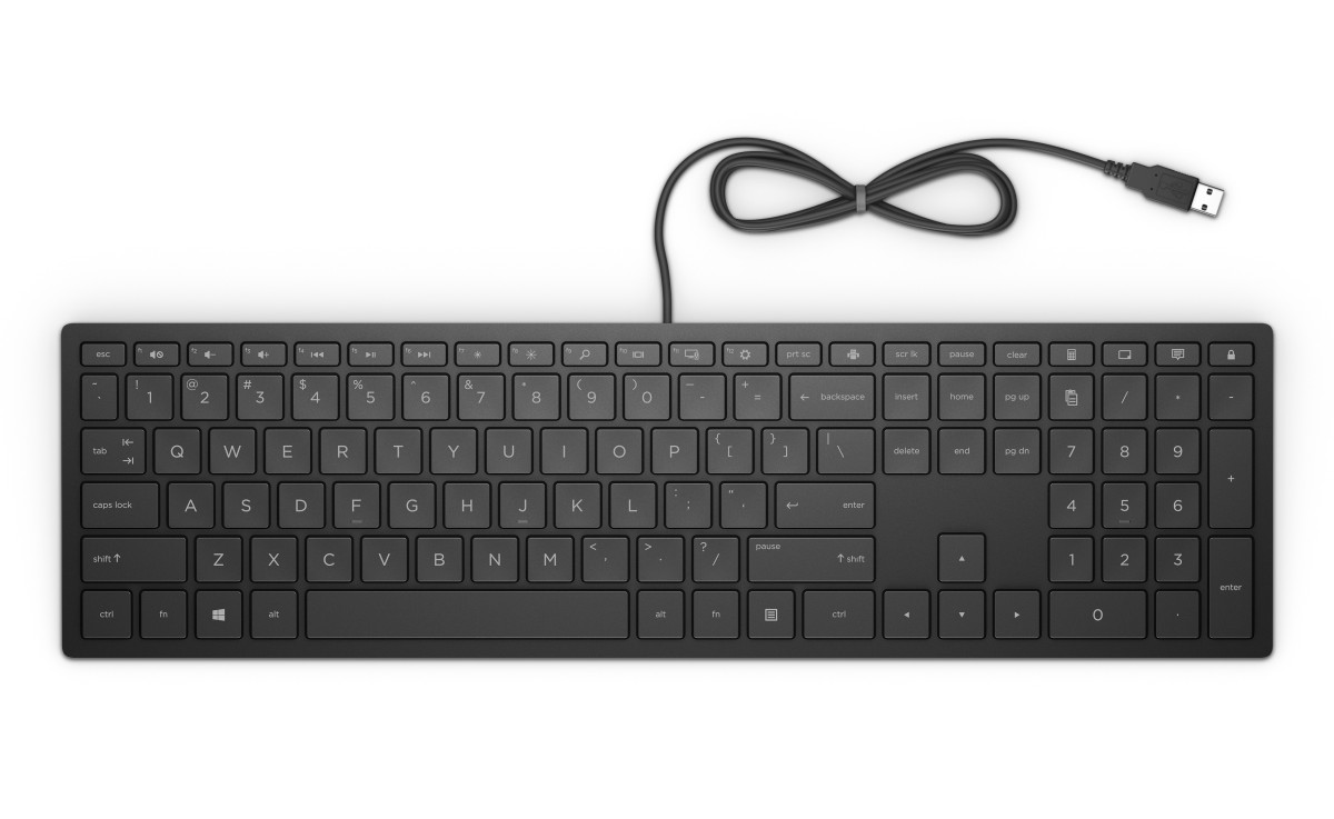 HP Pavilion Keyboard 300/Drátová USB/CZ layout/Černá