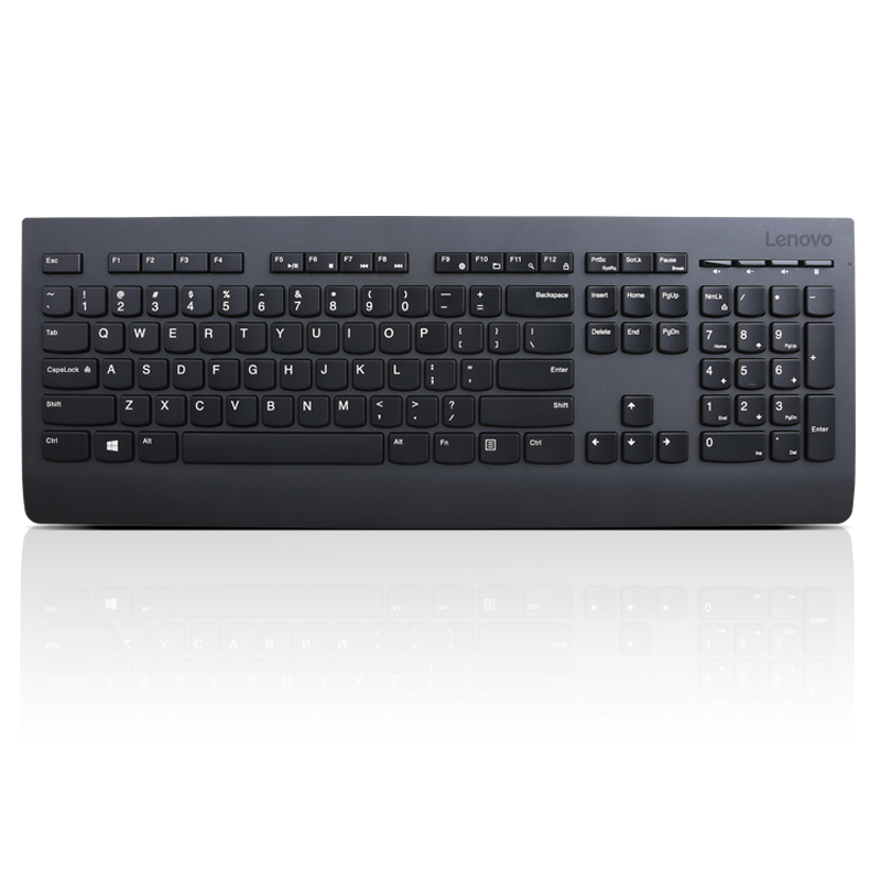 Lenovo Professional Wireless Keyboard and Mouse Combo  - Czech