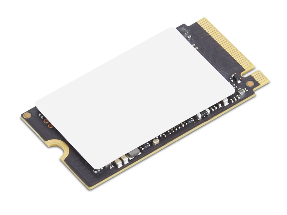 Lenovo ThinkPad/256GB/SSD/M.2 NVMe/Černá/1R