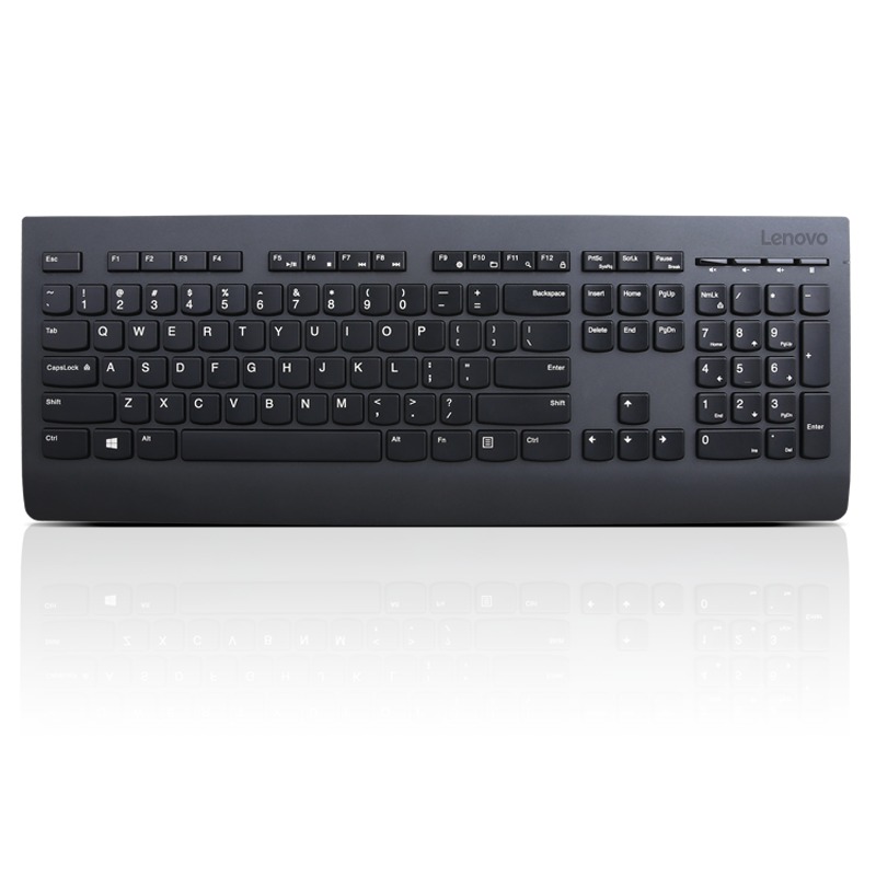Lenovo Professional Wireless Keyboard/Bezdrátové USB/CZ/SK/Černá