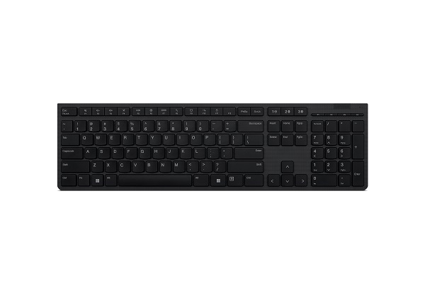 Lenovo Professional/Bezdrátová USB + Bluetooth/CZ-SK layout/Šedá