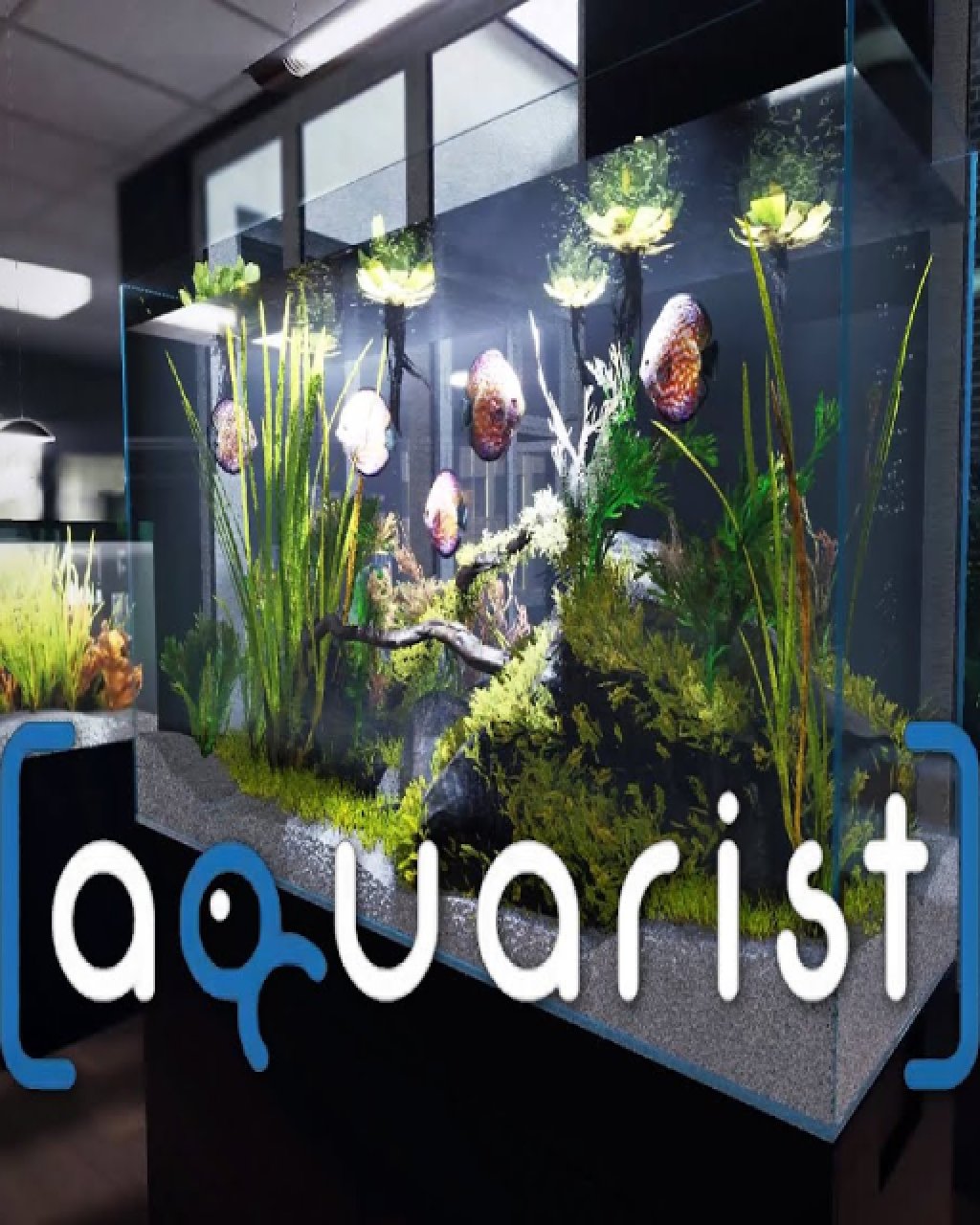 ESD Aquarist